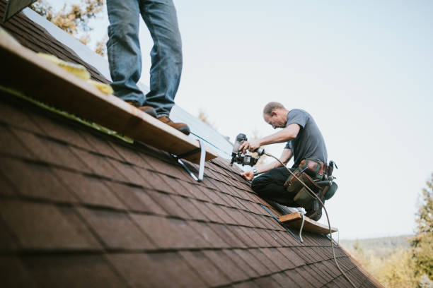 Quick and Trustworthy Emergency Roof Repair Services in Allendale, SC